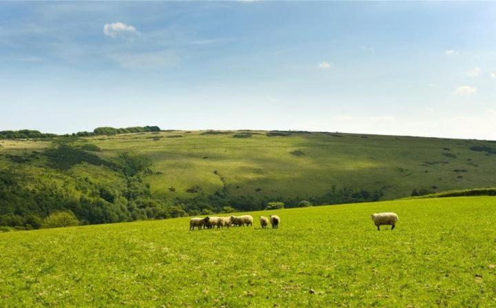 Zeal Farm Bed & Breakfast Dulverton Bagian luar foto