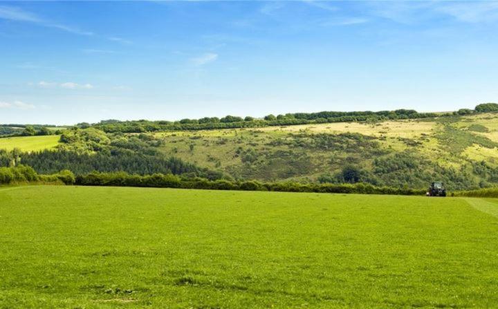 Zeal Farm Bed & Breakfast Dulverton Bagian luar foto