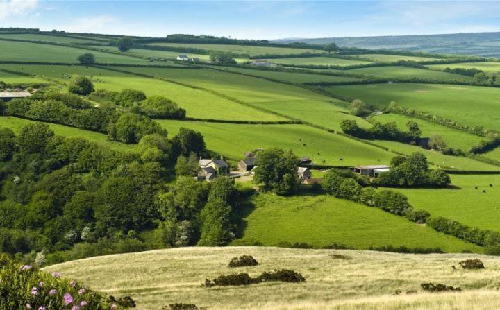 Zeal Farm Bed & Breakfast Dulverton Bagian luar foto