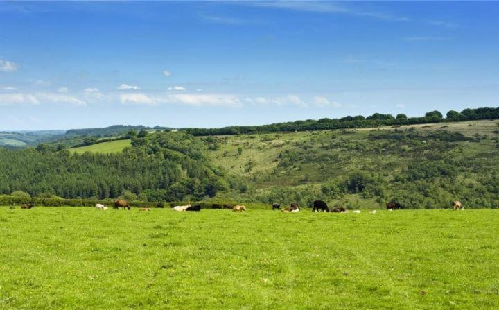 Zeal Farm Bed & Breakfast Dulverton Bagian luar foto