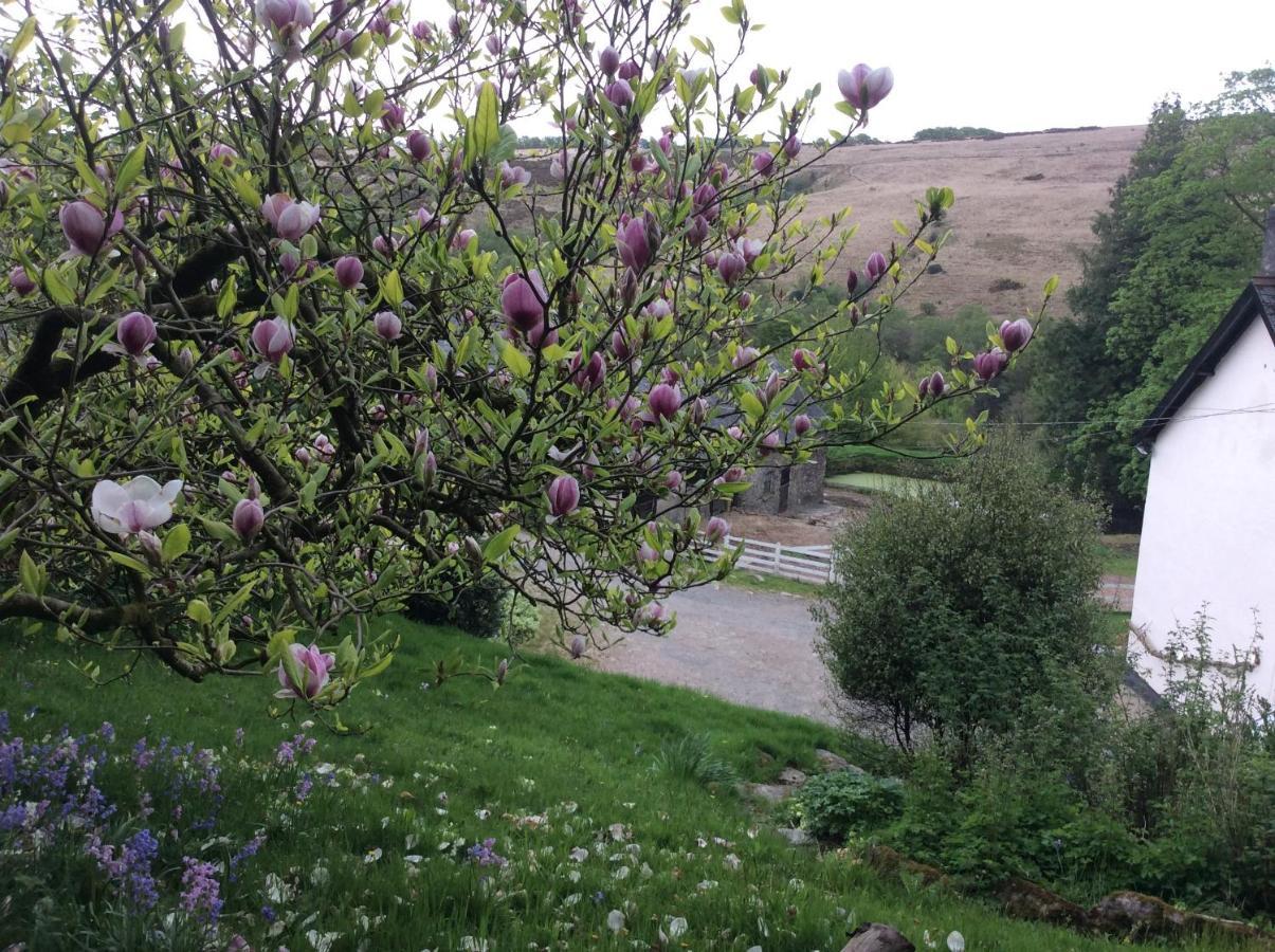 Zeal Farm Bed & Breakfast Dulverton Bagian luar foto